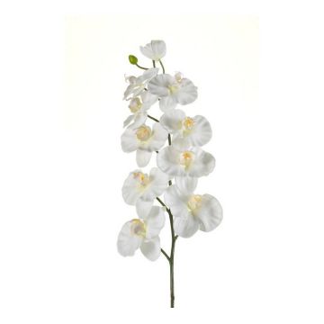 Ramo di orchidee phalaenopsis di plastica ANAT, crema, 100cm