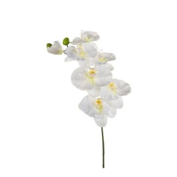 Ramo di orchidee phalaenopsis di plastica BASTET, bianco, 80cm