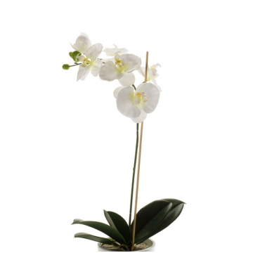 Orchidea phalaenopsis artificiale ISIS, su stelo, bianco, 60cm