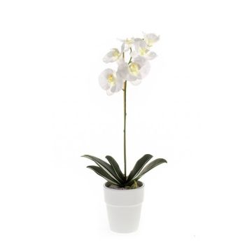 Orchidea phalaenopsis artificiale ISIS, vaso in ceramica, bianco, 55cm