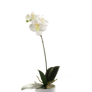 Orchidea phalaenopsis artificiale ISIS, su stelo, bianco, 40cm