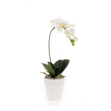 Orchidea phalaenopsis artificiale ISIS, vaso in ceramica, bianco, 40cm