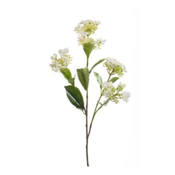 Ortensia artificiale ALAZNE, crema, 75cm