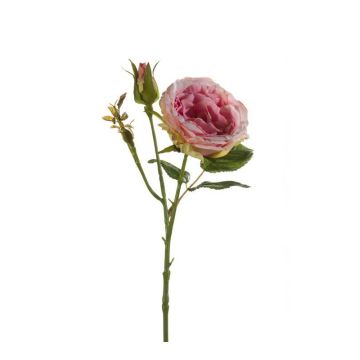Rosa di plastica CESCA, rosa, 40cm