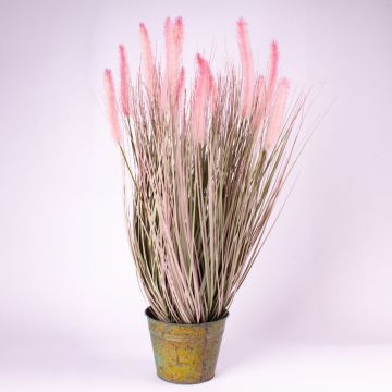 Pennisetum finto OVIDIO, pannocchie, vaso di zinco, verde-rosa, 100cm