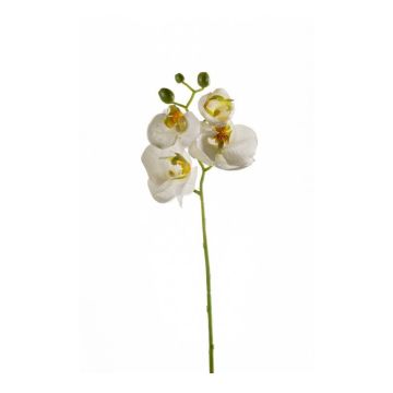 Ramo di orchidee phalaenopsis artificiale MINA, bianco, 55cm