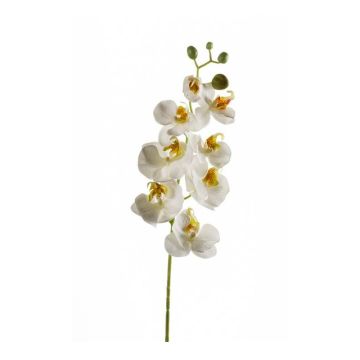 Ramo di orchidee phalaenopsis artificiale MINA, bianco, 70cm