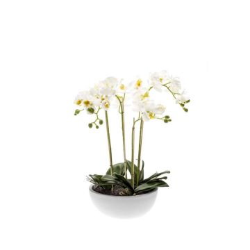 Orchidea phalaenopsis artificiale MINA in ceramica, bianco, 60cm