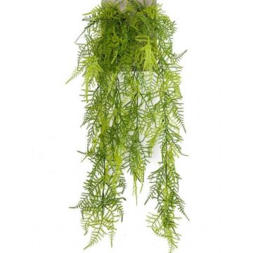 Asparagus plumosus artificiale pensile COLE, su stelo, 80cm