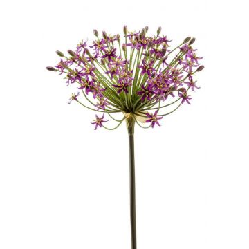 Allium artificiale BRAIS, viola, 90cm