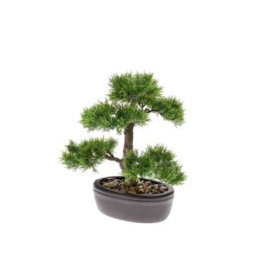Cedro bonsai artificiale BERTOLT in ciotola, 30cm
