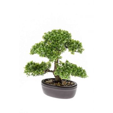 Ficus bonsai artificiale HESPER in ciotola, 30cm