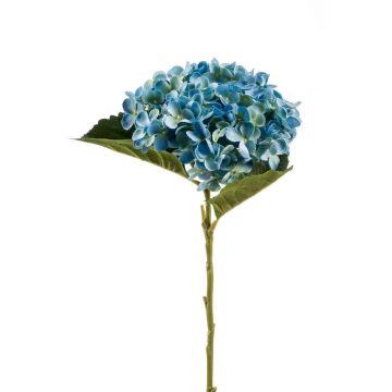 Ortensia artificiale EGIA, blu, 50cm