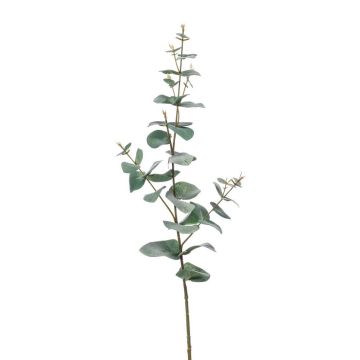 Ramo d'eucalipto in plastica CALLIOPE, grigio-verde, 70cm
