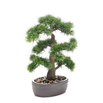 Cedro bonsai artificiale QUARTILLA in ciotola, 45cm