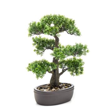 Ficus bonsai artificiale ROMILDA in ciotola, 45cm