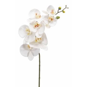 Ramo di orchidee phalaenopsis artificiale NEITH, bianco, 85cm