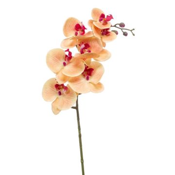 Ramo di orchidee phalaenopsis artificiale NEITH, fucsia-arancione, 85cm