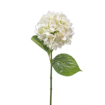 Fiore tessile d'ortensia ENEA, bianco, 65cm