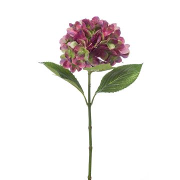 Fiore tessile d'ortensia ENEA, viola-verde, 65cm