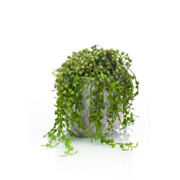 Pianta artificiale di senecio PIURA in vaso di cemento, verde, 15cm