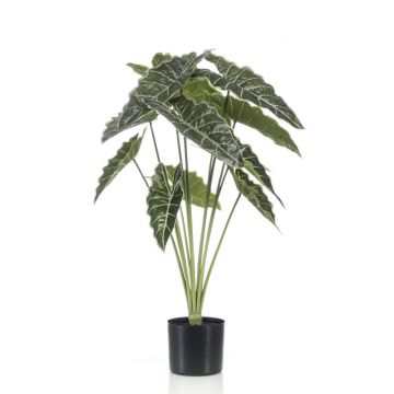 Alocasia sanderiana artificiale FIORELLA, verde, 80cm