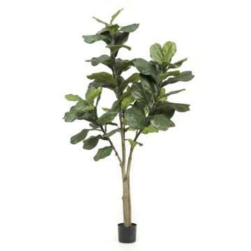 Ficus lyrata artificiale ENRIKO, tronco artificiale, verde, 180cm