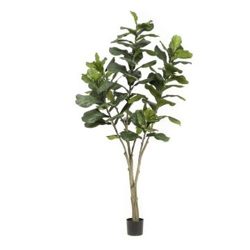 Ficus lyrata artificiale ENRIKO, tronco artificiale, verde, 210cm