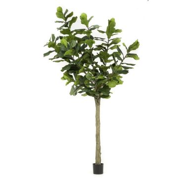 Ficus lyrata artificiale ENRIKO, tronco artificiale, verde, 300cm