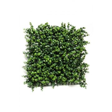 Siepe / Tappeto d'eucalipto artificiale JASE, zona trasversale, verde, 50x50cm