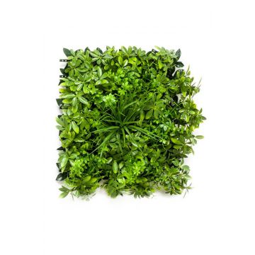 Tappeto di erba schefflera artificiale ENZIO, zona trasversale, verde, 50x50cm
