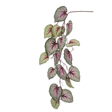 Ramo di begonie rex artificiale MEIRA, verde-rosa, 110cm