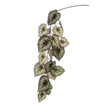 Ramo di begonie rex artificiale MEIRA, verde-viola, 110cm