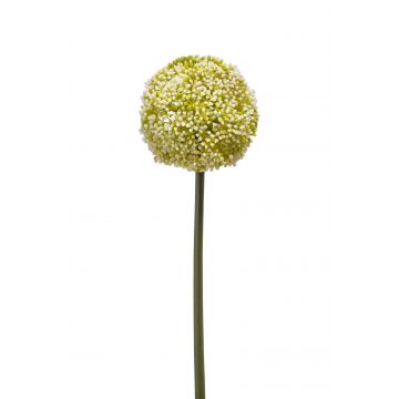 Allium di plastica BOUTROS, bianco-verde, 75cm