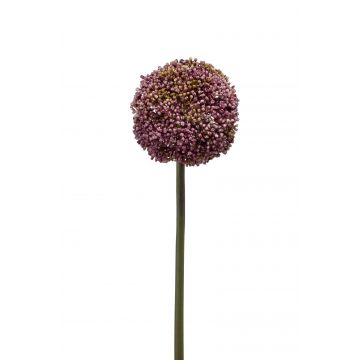 Allium di plastica BOUTROS, viola, 75cm