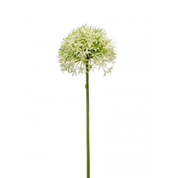 Allium artificiale ARNAU, verde crema, 60cm