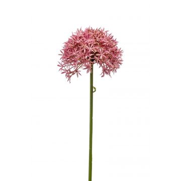 Allium artificiale ARNAU, fucsia, 60cm