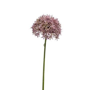 Allium artificiale ARNAU, rosa, 60cm