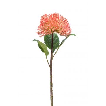 Fiore di sedum in plastica JICAMA, rosa, 45cm