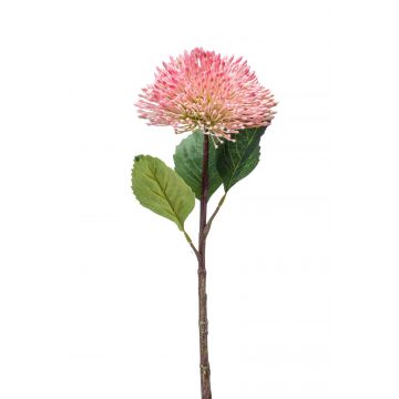 Fiore di sedum in plastica JICAMA, rosa-bianco, 45cm