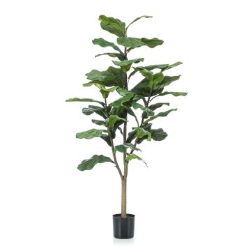 Ficus lyrata artificiale EUSEBI, tronco artificiale, verde, 120cm