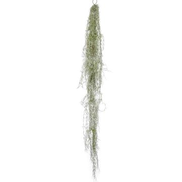 Tillandsia usneoides artificiale HIDAL, su stelo, verde-grigio, 150cm