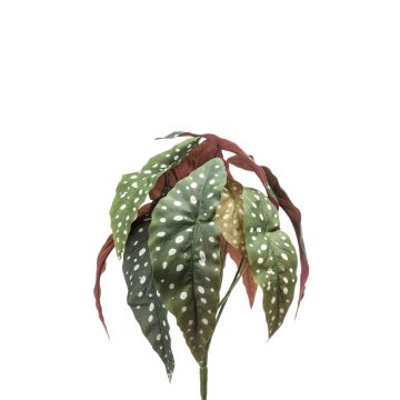 Begonia maculata artificiale ELISEIA su stelo, verde-bianco, 30cm