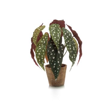Begonia maculata artificiale ELISEIA, vaso di terracotta, verde-bianco, 30cm