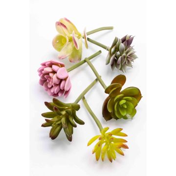 Succulente artificiali JADON, su stelo, 6 pezzi, multicolore, 13cm, Ø5cm, Ø5cm
