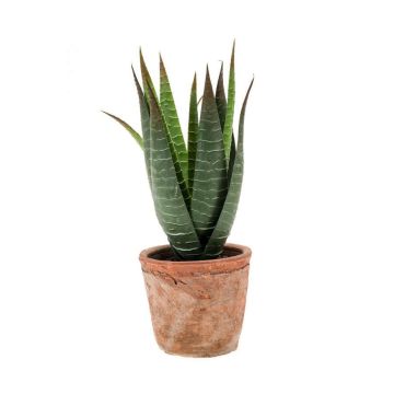 Aloe variegata artificiale MARTINEZ in vaso di terracotta, verde, 20cm, Ø17cm