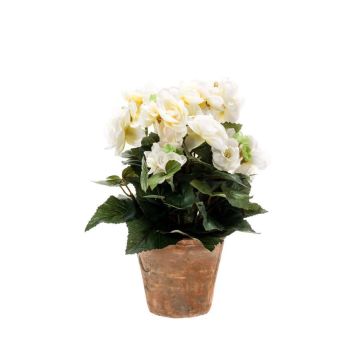 Begonia artificiale DOBRADA in vaso di terracotta, crema, 25cm