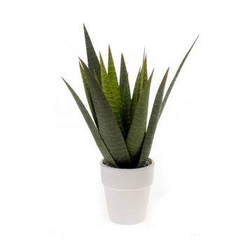 Aloe variegata artificiale MARTINEZ, vaso in ceramica, verde, 30cm, Ø17cm