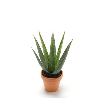 Aloe variegata artificiale MARTINEZ, vaso di terracotta, verde, 30cm, Ø17cm