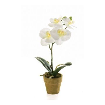 Orchidea phalaenopsis artificiale SETH in vaso decorativo, crema, 25cm